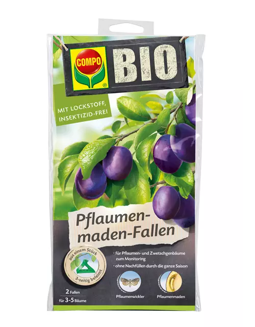 Compo BIO Pflaumenmaden-Falle 