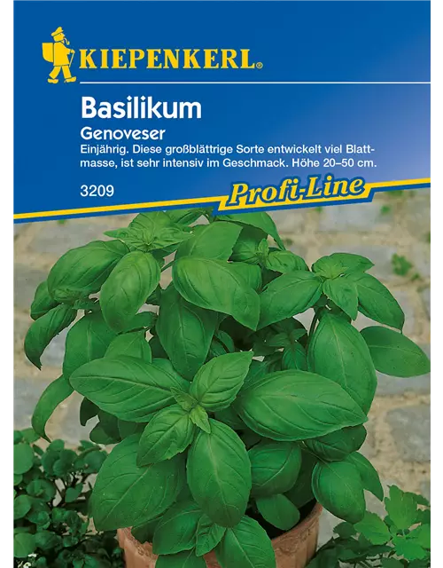 Garten-Basilikum 'Genoveser'