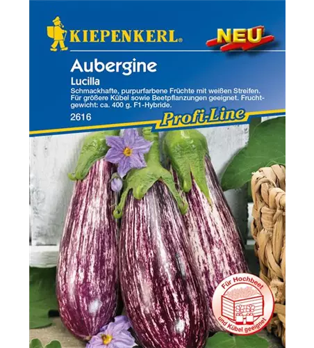 Aubergine 'Lucilla'