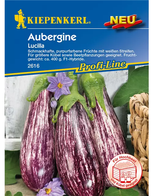 Aubergine 'Lucilla'