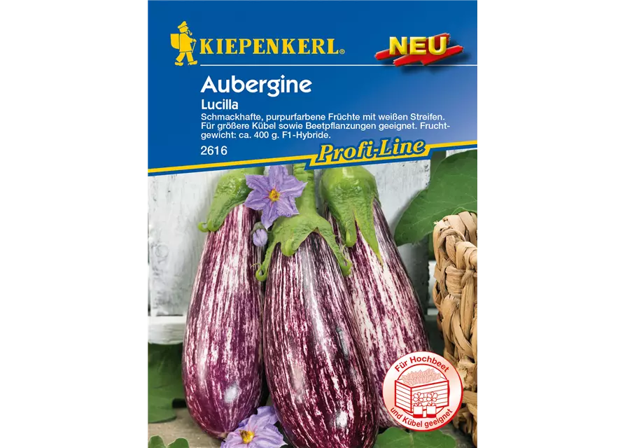 Aubergine 'Lucilla'