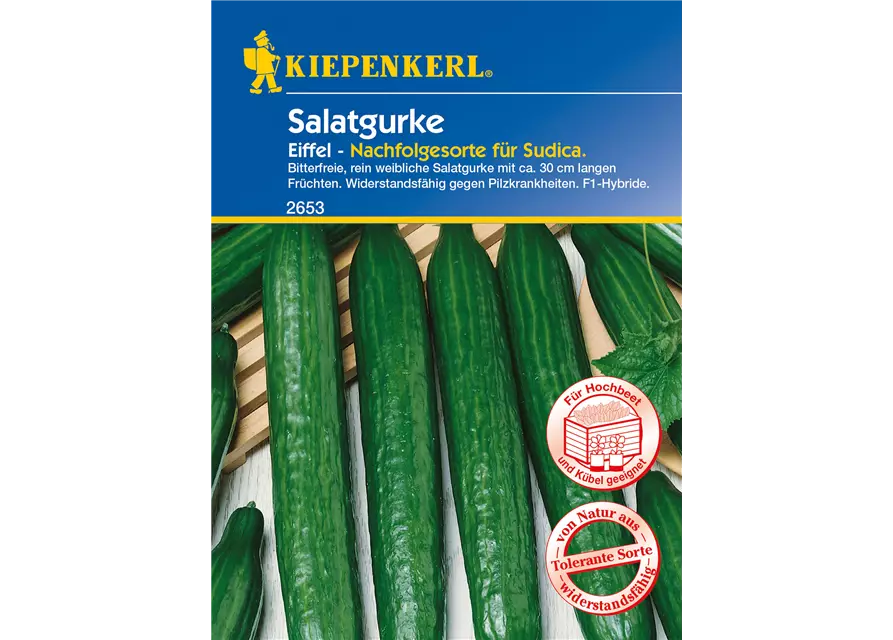 Salatgurke 'Eiffel'