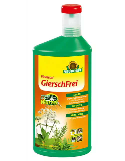 Finalsan GierschFrei