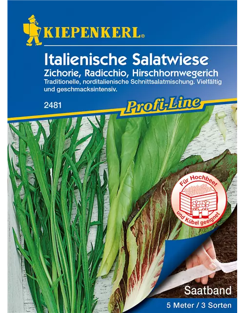 Italienische Salatwiese