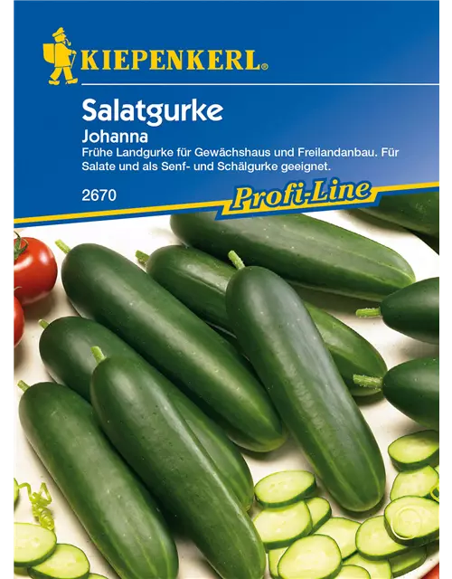 Salatgurke 'Johanna'