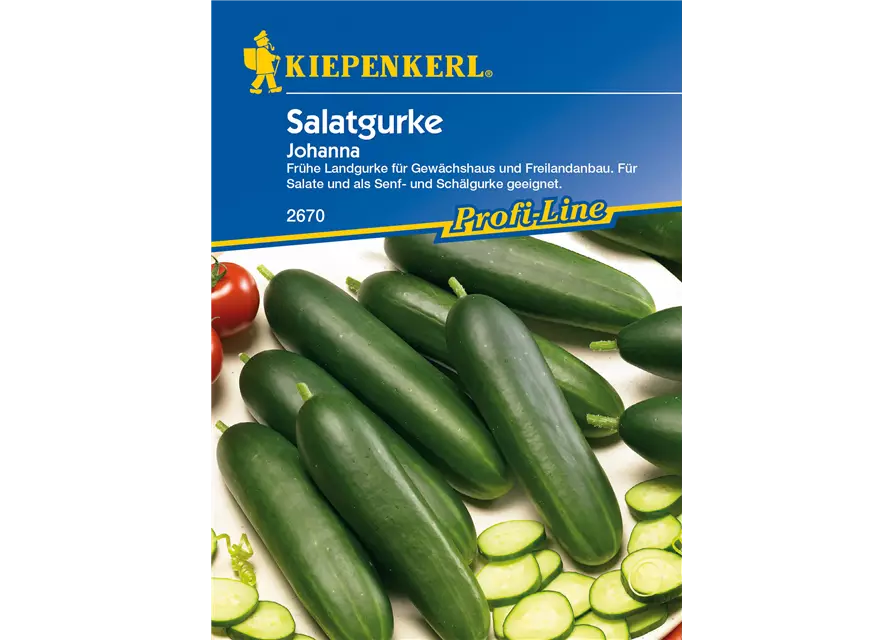 Salatgurke 'Johanna'