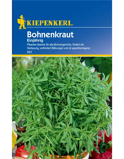 Sommer-Bohnenkraut