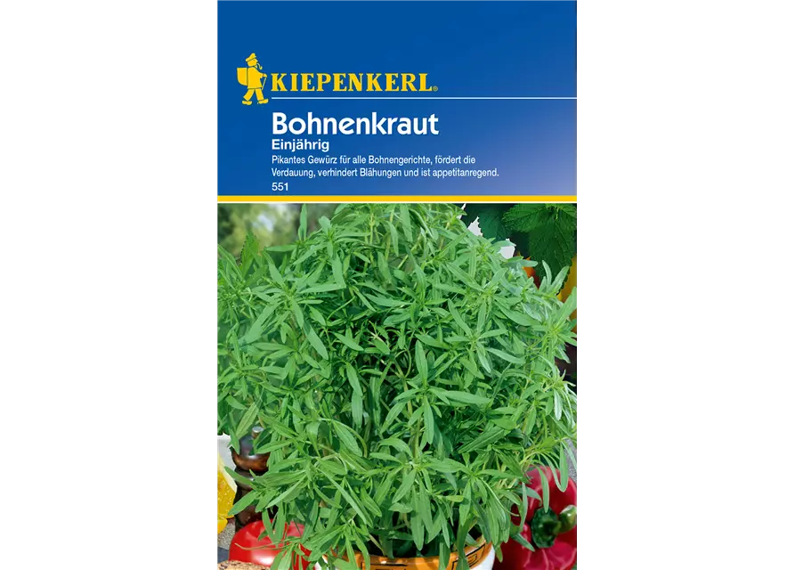 Sommer-Bohnenkraut