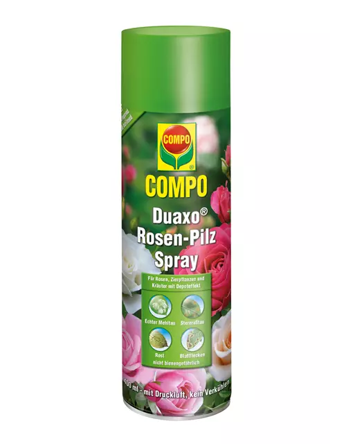 Compo Duaxo Rosen-Pilz-Spray 