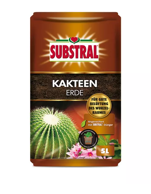 Substral Kakteenerde