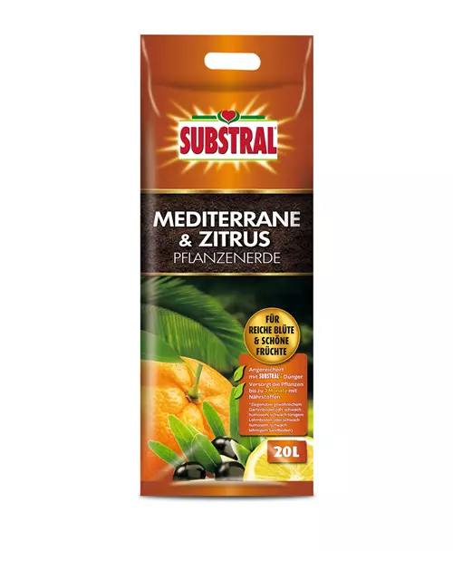 Substral Mediterrane- und Zitruspflanzenerde