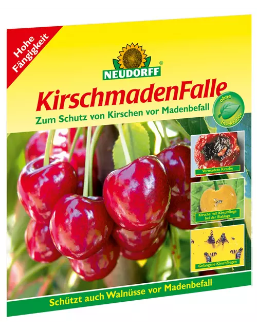 Neudorff KirschmadenFalle Neudorff