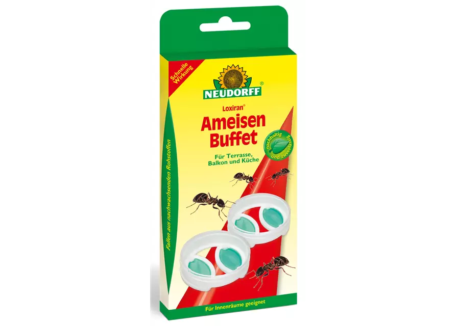 Loxiran AmeisenBuffet