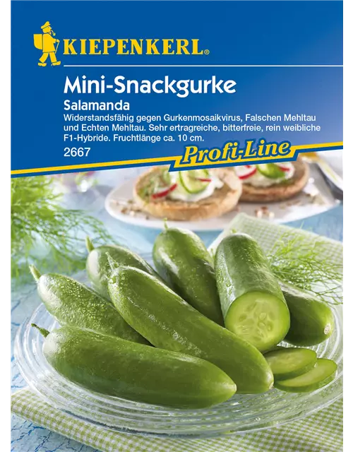 Mini-Snackgurke 'Salamanda F1'