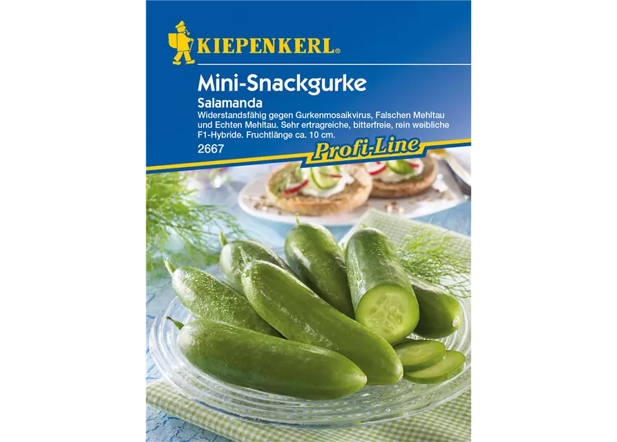 Mini-Snackgurke 'Salamanda F1'