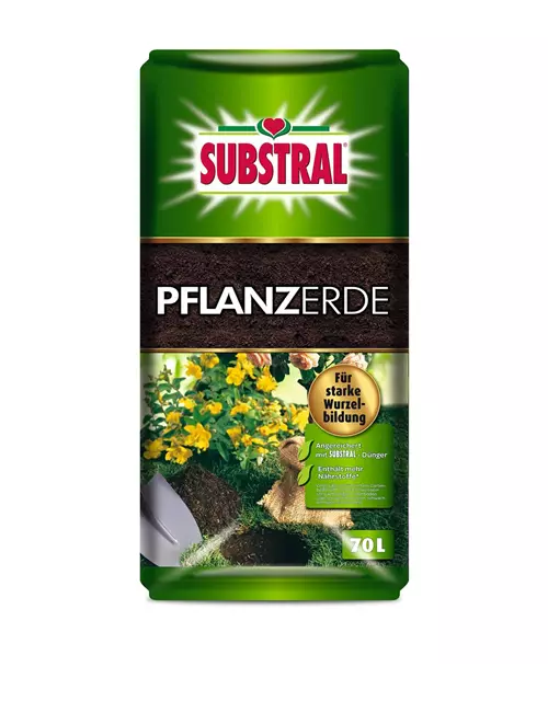 Substral Pflanzerde