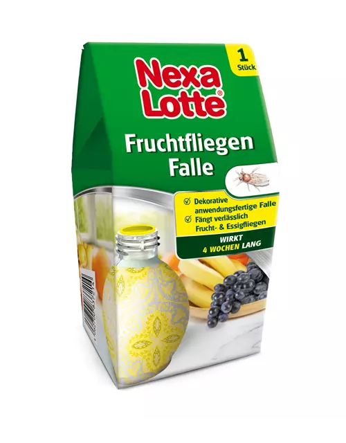 Nexa-Lotte Fruchtfliegenfalle