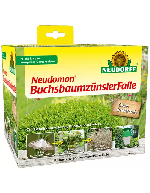 Neudomon BuchsbaumzünslerFalle