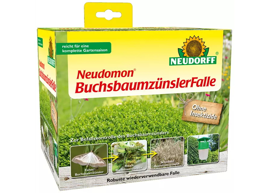 Neudomon BuchsbaumzünslerFalle