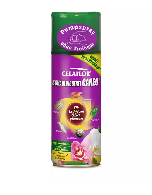 Celaflor Schädlingsfrei Careo für Orchideen + Zierpflanzen