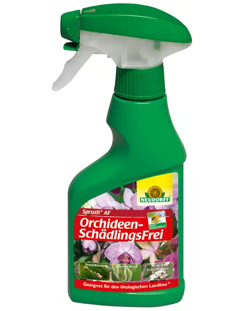 Spruzit AF OrchideenSchädlingsFrei