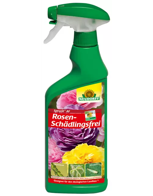 Spruzit AF RosenSchädlingsFrei