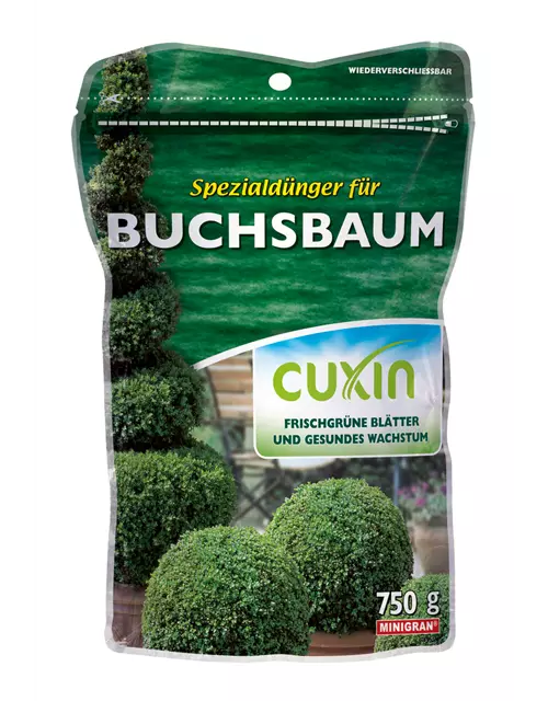 Cuxin WF Buchsbaum