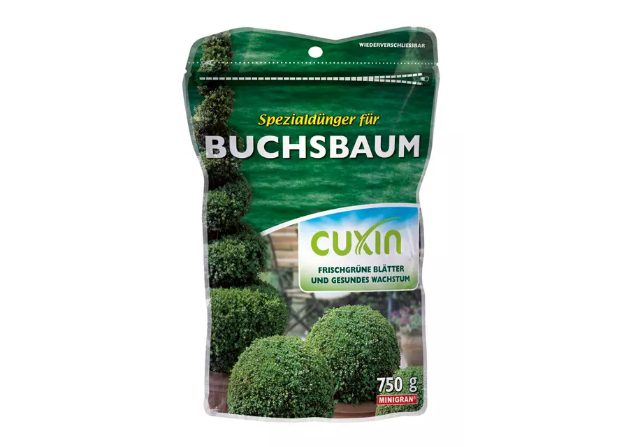 Cuxin WF Buchsbaum