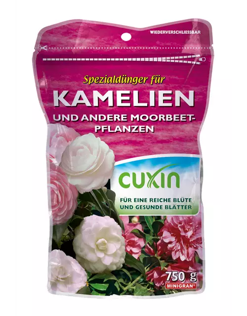 Cuxin WF Kamelien