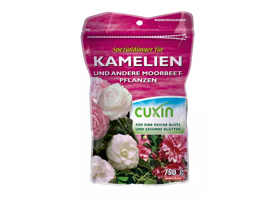 Cuxin WF Kamelien