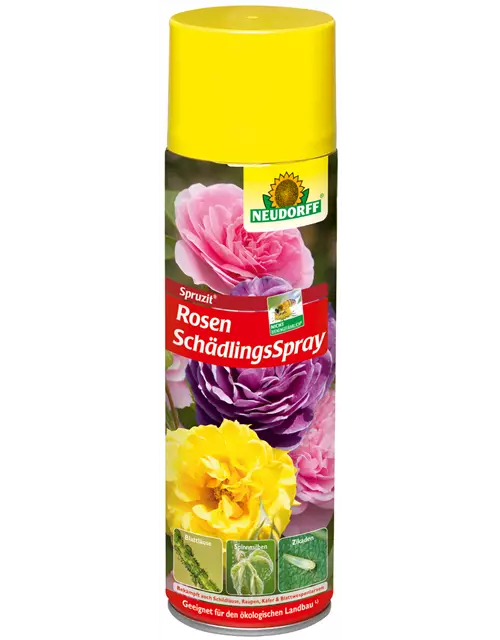 Spruzit RosenSchädlingsSpray