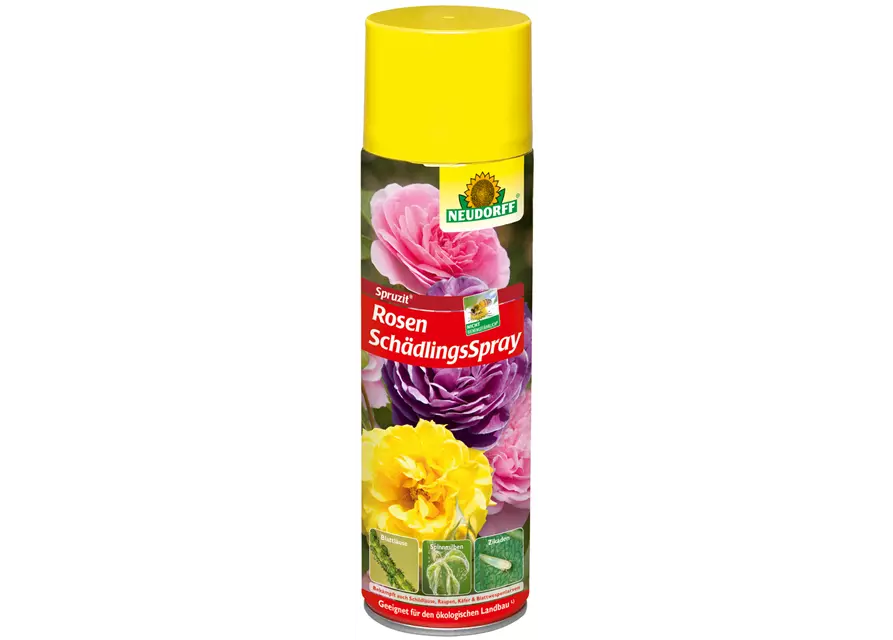 Spruzit RosenSchädlingsSpray