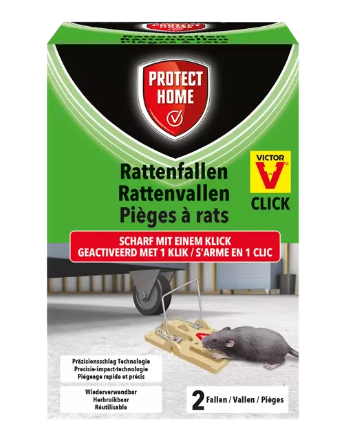 Protect Home Rattenfalle Click