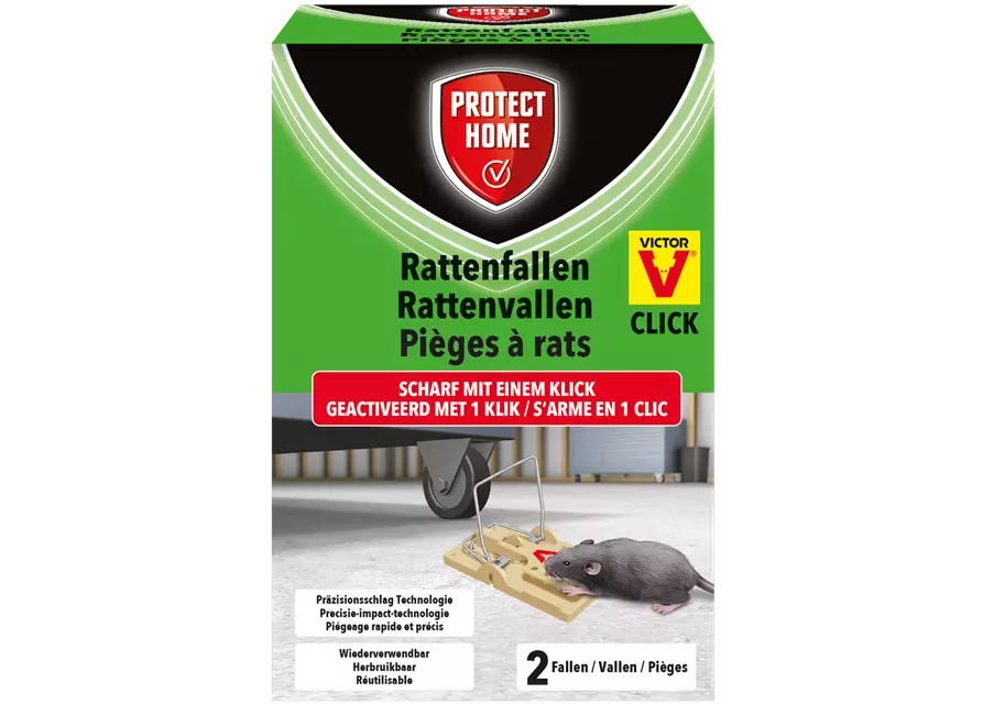 Protect Home Rattenfalle Click