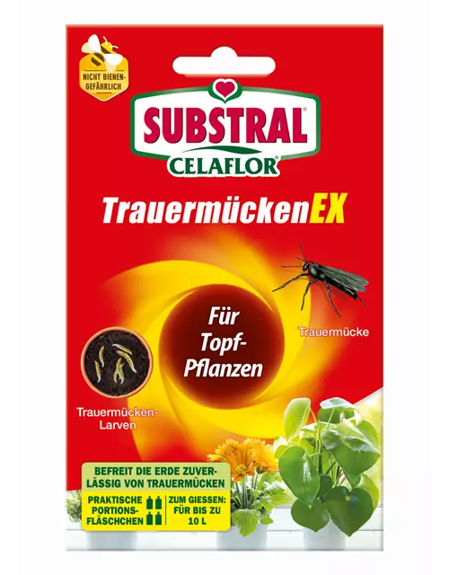 Nexa-Lotte Trauermücken-Ex