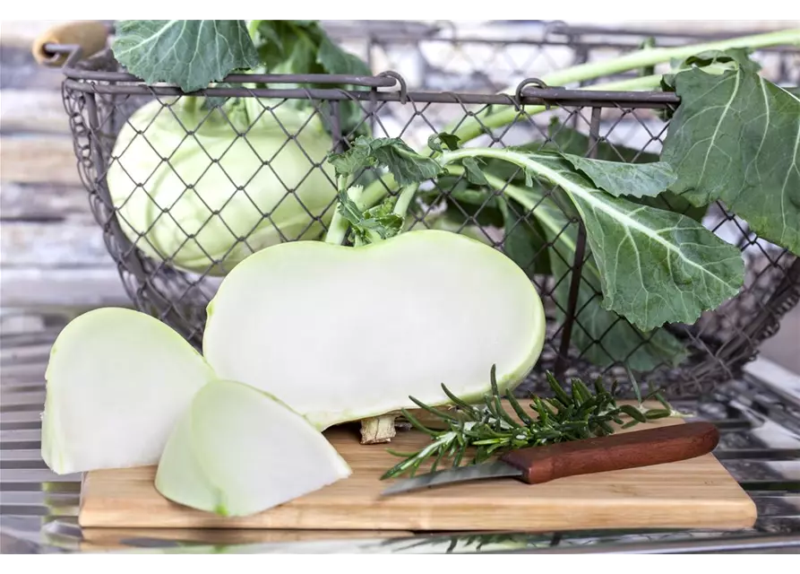 Kohlrabi 'Superschmelz'