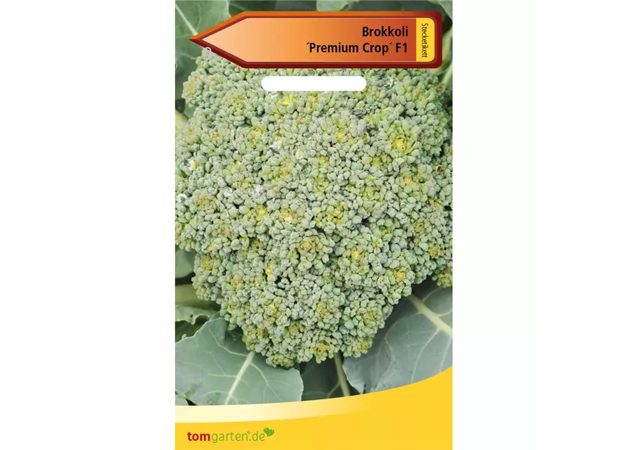 Broccoli 'Premium Crop F1'