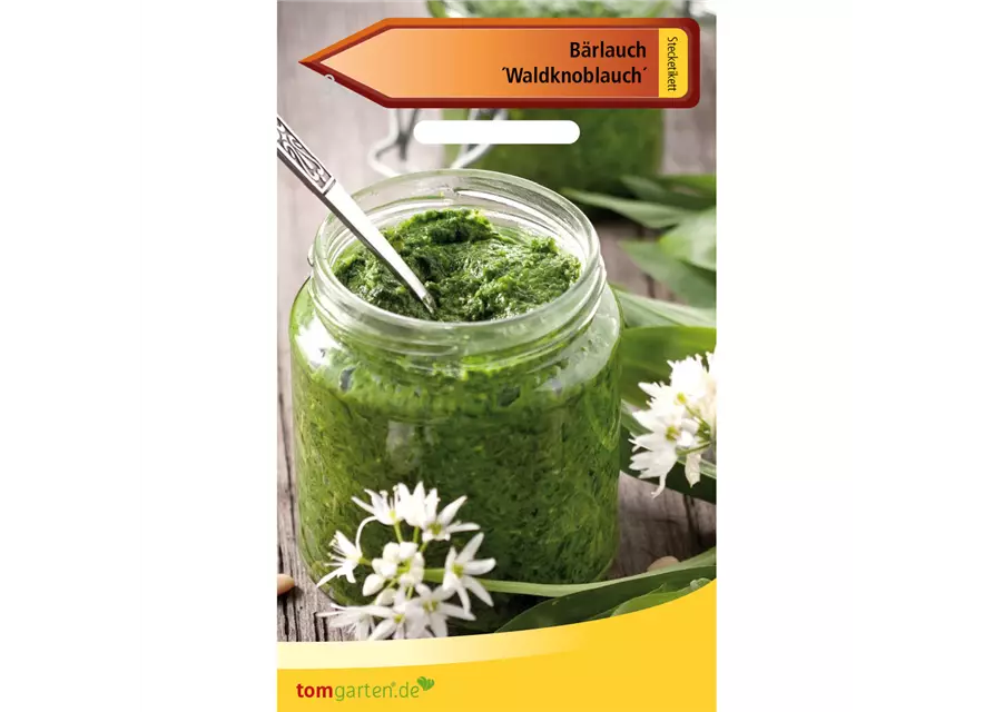 Bärlauch 'Waldknoblauch'