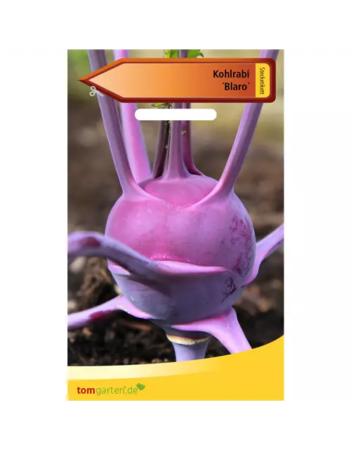 Kohlrabi 'Blaro'