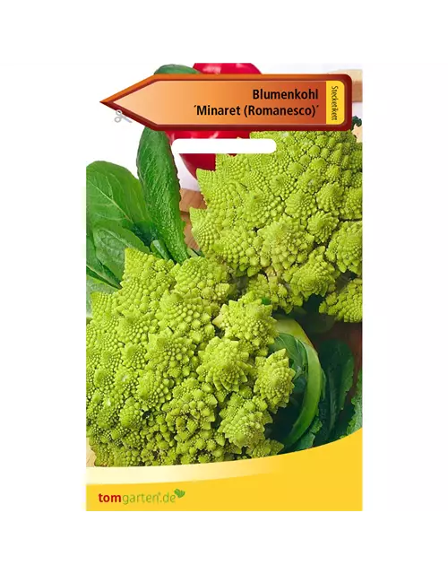 Romanesco-Blumenkohl 'Minaret'