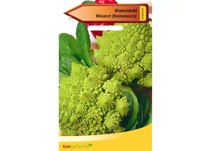 Romanesco-Blumenkohl 'Minaret'