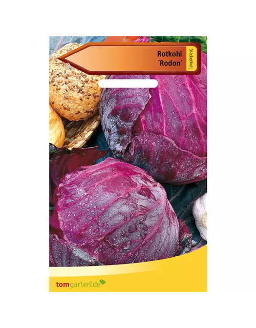 Rotkohl 'Rodon'