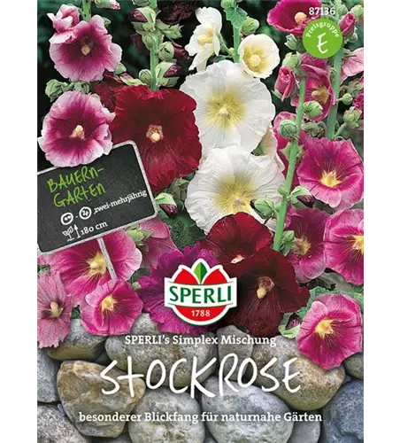 Einfachblühende Stockrose 'Simplex'