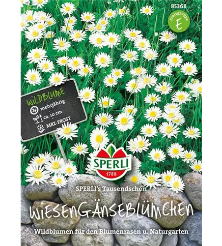 Gänseblümchen