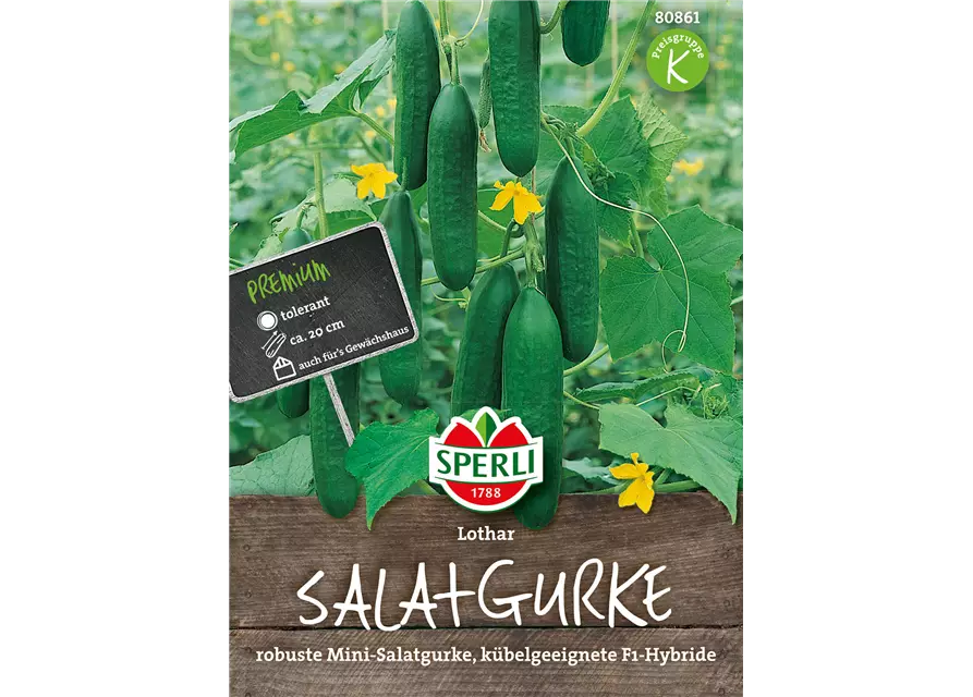 Salatgurke 'Lothar F1'