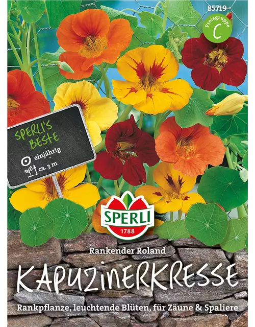 Kapuzinerkresse 'Rankender Roland'