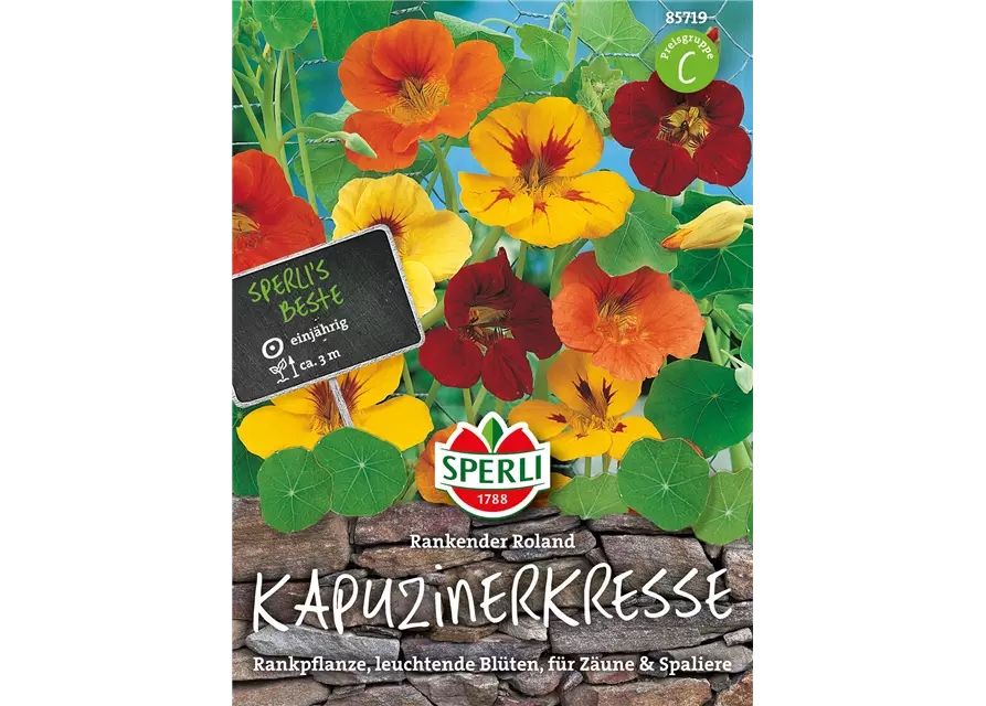 Kapuzinerkresse 'Rankender Roland'