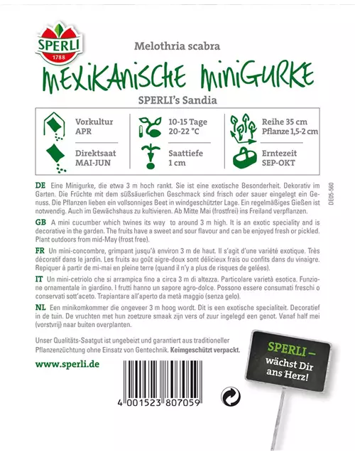 Mexikanische Minigurke 'Sandia'