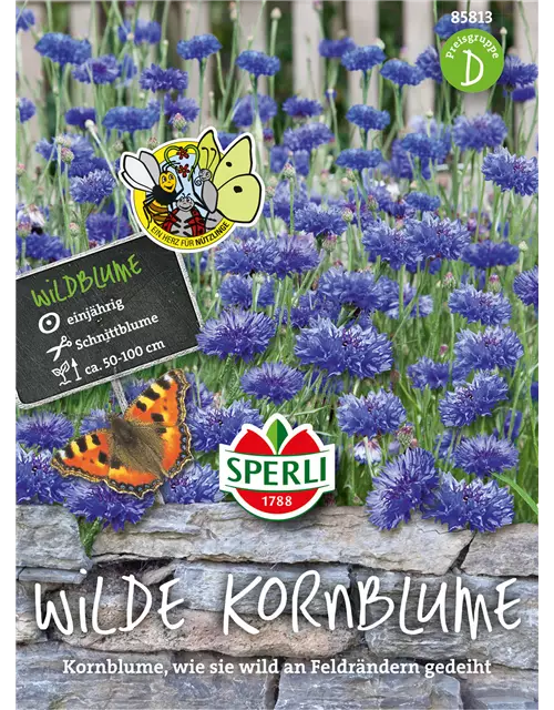 Kornblume