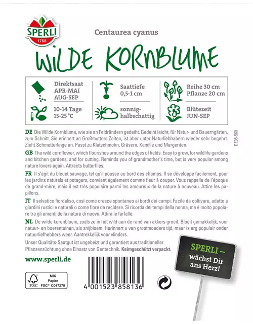 Kornblume